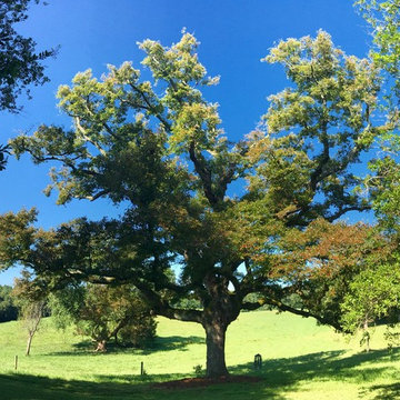 Glendale: 20 years of Soul Conservation, Somerset, VA