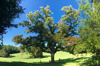 Glendale: 20 years of Soul Conservation, Somerset, VA