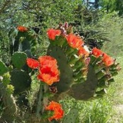 Margarita Elizarde's photo