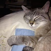 Bran LeFae's photo