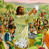 Terry Teixeira's photo
