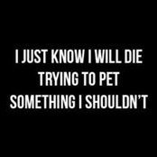 Cheryl Davis's photo