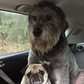Foto von Rhonda Johnson