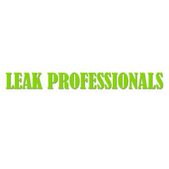 Leak Professionals