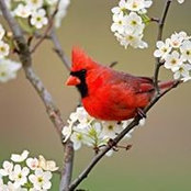 Abby Smith's photo
