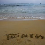 Tonya Taylor's photo