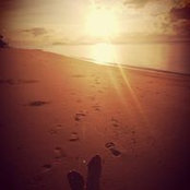 Stephan Busch's photo