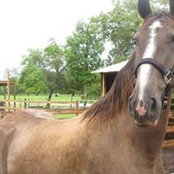 Laura Treadway's photo