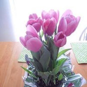 Christina Costain's photo