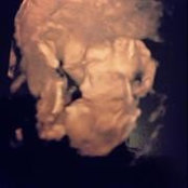 Foto von Sofie Earlam-Campbell