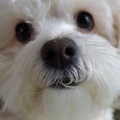 Dawn Prostell's photo