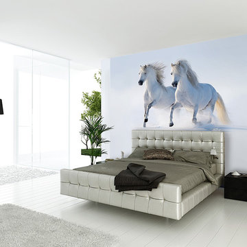 Inspirational Wall Murals