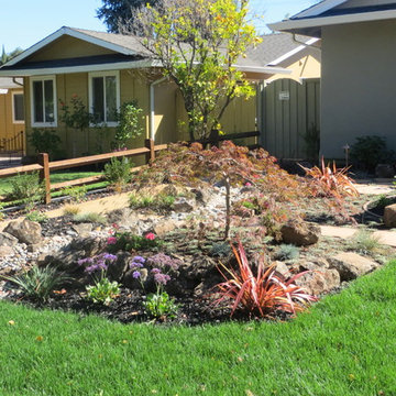 Front Yard Landscapes