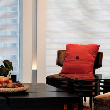 Shade by Jamie: Vertilux Neolux Dual Shades