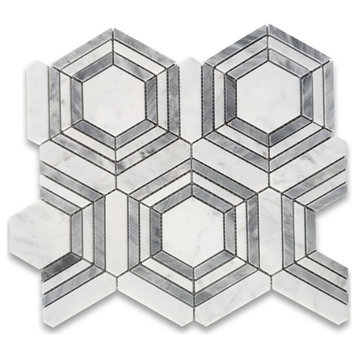 Carrara White Bardiglio Marble Hexagon Georama Geometric Tile Polished, 1 sheet