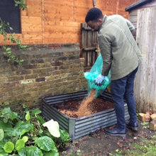 Edible garden