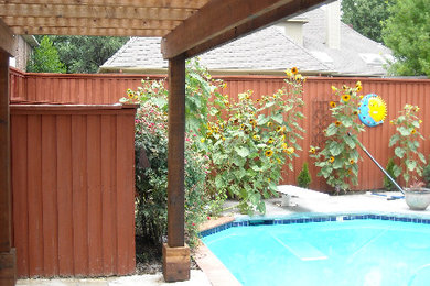 Transitional pool photo in Dallas