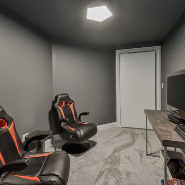 Basement Remodel