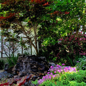 Water Features