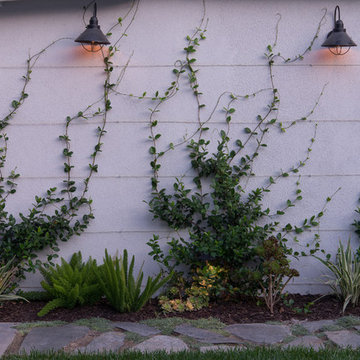 Culver City Modern Classic