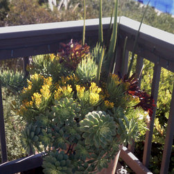Succulent Containers - Outdoor Pots And Planters