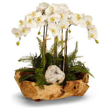 Orchid and Geode in Wood Bowl, White