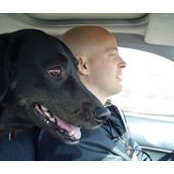 Dan Matheson's photo