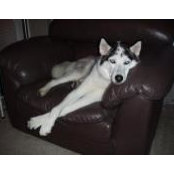 Amanda Hildenbrand's photo