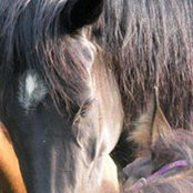 Foto von Julee Clarke