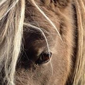 Debby Raill-Nimetz's photo