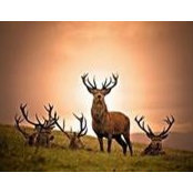 Manoj Rajan's photo