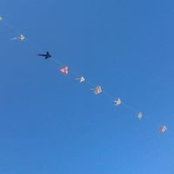 francesca camilletti's photo