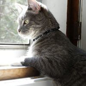 Gerry Johnston's photo