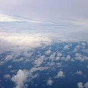 Céline Carini's photo