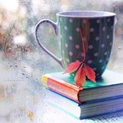 Manal Al-hmidat Taha's photo
