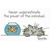 Sofia Hein's photo