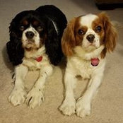Bill Harding's photo