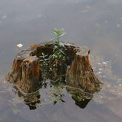 Stacey Carr's photo