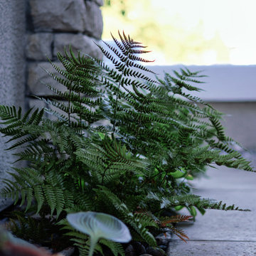 Front Yard Inspiration: Low Maintenance Design Ideas