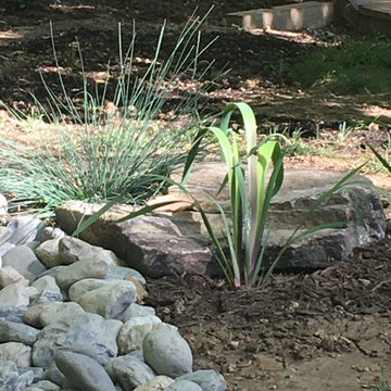 Silver Spring back yard