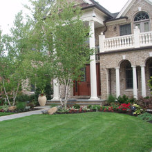 Landscape Ideas