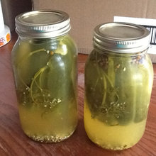 Canning the Harvest