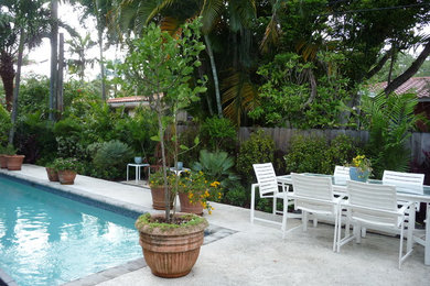 Design ideas for a tropical landscaping in Miami.
