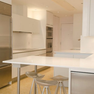Galleria, high-rise Poggenpohl kitchen renovation in the Four Leaf Towers