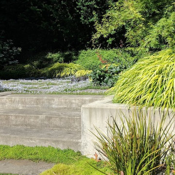 Magnolia Shade Garden