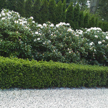 Pflanzungen & Gartenanlagen