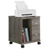 Office, File Cabinet, Printer Cart, Mobile, Storage, Work, Laminate, Brown