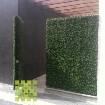 Ranka Lasting Greenery