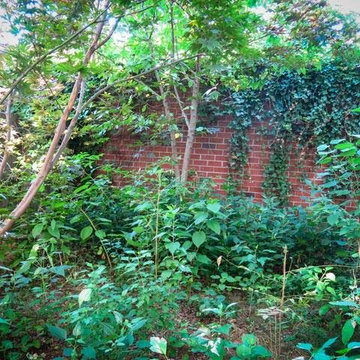 Urban Gardeners Garden