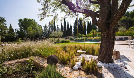 Que faire dans son jardin au mois de juillet ?